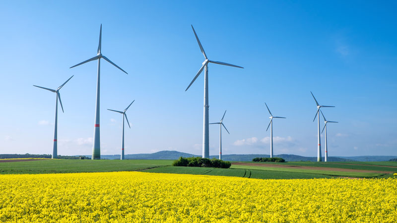 Wind turbines in a nature scene on a clear day. 